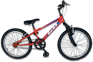 Bicicleta GOLDBIKE 