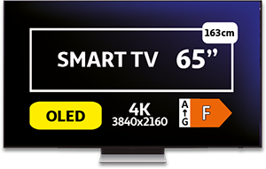 TV SAMSUNG TQ65S90FATXXC