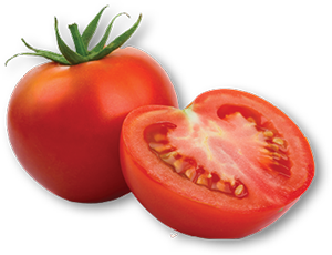 Tomate 