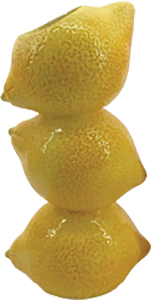 Vaso Cerâmica Limão ACTUEL