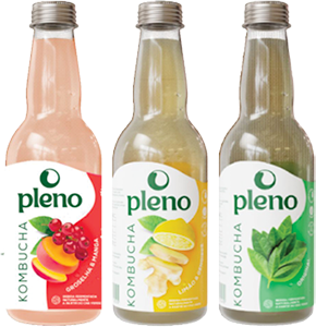 Kombucha PLENO Bio
