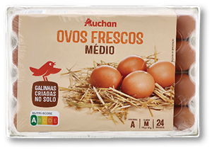 Ovos Galinhas Solo AUCHAN