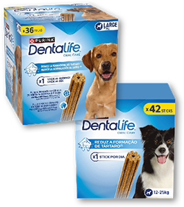 Snacks p/ Cão DENTALIFE