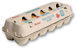 Ovos de Galinhas de Solo AUCHAN