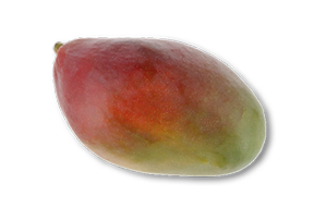 Manga Palmer Maturada