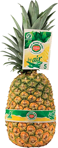 Abacaxi Via Aérea (Inteiro)
