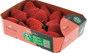 Morango AUCHAN COLLECTION