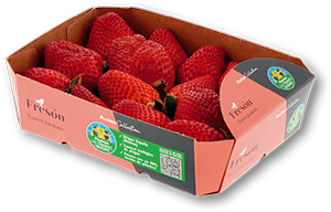 Morango AUCHAN COLLECTION