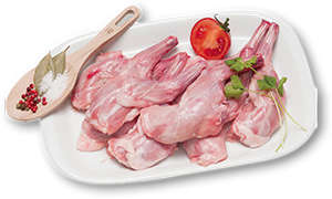 Mão de Coelho AUCHAN