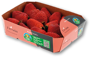 Morango AUCHAN COLLECTION
