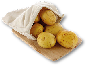 Batata Branca