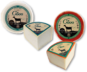 Queijo de Cabra CÔVO