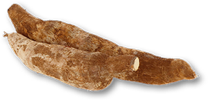 Mandioca