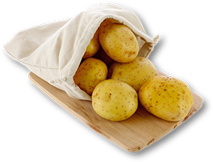 Batata Branca