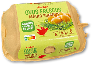 OVOS GALINHAS AR LIVRE