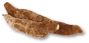 Mandioca