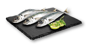 Carapau Pequeno Fresco Inteiro (Balcão) Kg