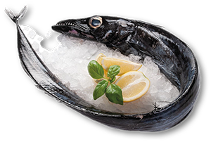 Peixe Espada Preto Fresco 