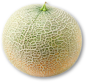 Meloa Cantaloupe AUCHAN 