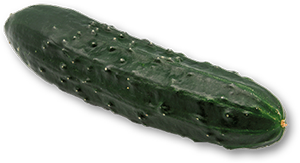 Pepino