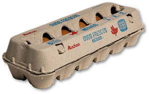 Ovos de Galinha Solo AUCHAN