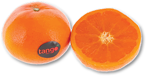 Clementina TANGO