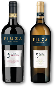 Vinho Tinto FIUZA