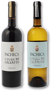 Vinho PACHECA