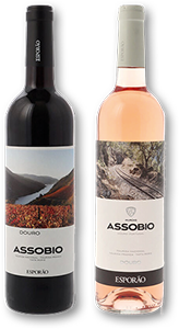 Vinho Tinto ASSOBIO