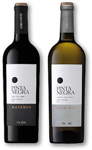 Vinho PINTA NEGRA