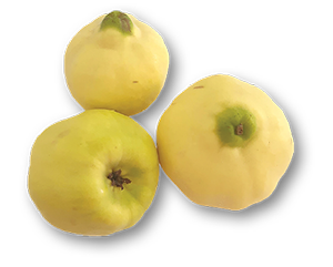 Marmelo