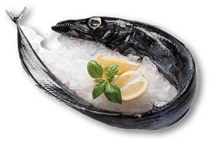 Peixe Espada Preto Fresco