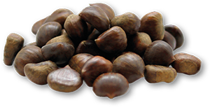 Castanha 