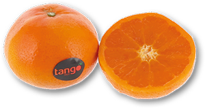 Clementina TANGO