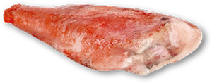 Red Fish Médio s/ Cabeça 