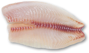 Filete Tilápia Fresco