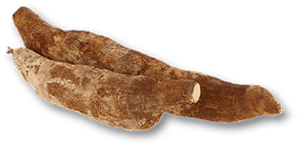 Mandioca