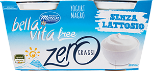 Yogurt SENZA LATTOSIO BELLA VITA