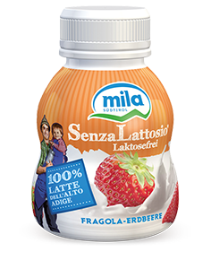 Yogurt SENZA LATTOSIO MILA